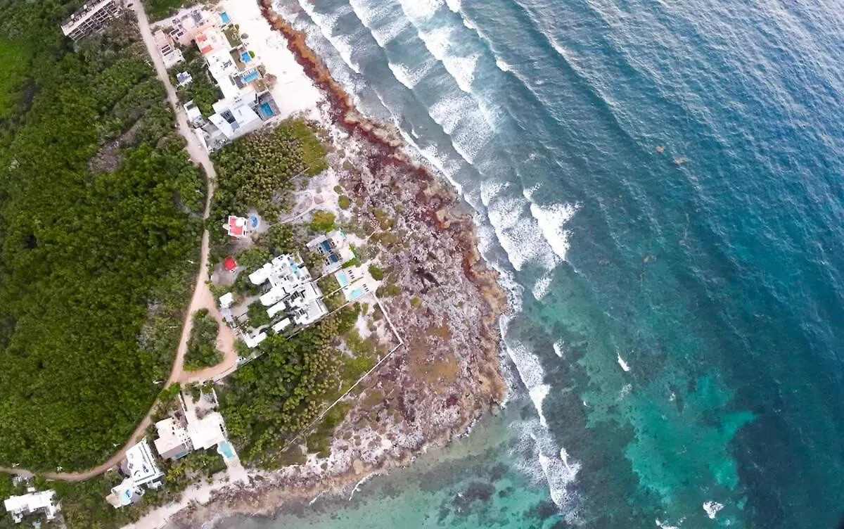 Dream Oceanview Villa 4Br At Tankah Bay Tulum Mexiko